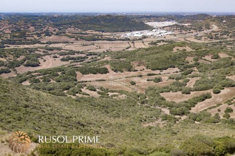 Finca pārdošanā Ferreries, Menorca, Spānijā 10 istabas, 1085 m2 Nr. 10950 - attēls 19