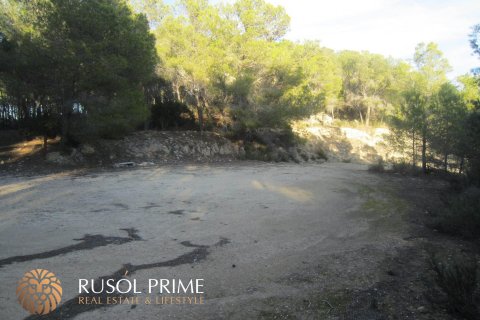 Zemes gabals pārdošanā Benissa, Alicante, Spānijā 33500 m2 Nr. 39403 - attēls 9