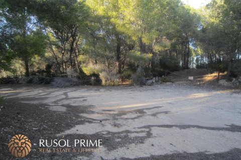 Zemes gabals pārdošanā Benissa, Alicante, Spānijā 33500 m2 Nr. 39403 - attēls 8