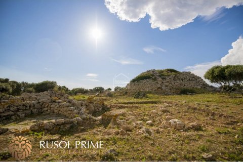 Finca pārdošanā Alaior, Menorca, Spānijā 10 istabas, 548 m2 Nr. 38962 - attēls 5