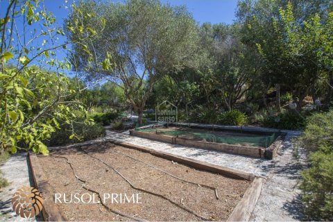 Villa pārdošanā El Migjorn Gran, Menorca, Spānijā 7 istabas, 604 m2 Nr. 39168 - attēls 19