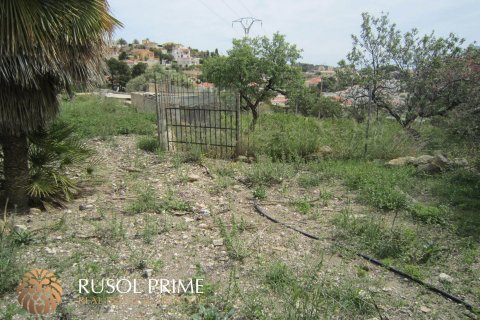 Zemes gabals pārdošanā Calpe, Alicante, Spānijā 810 m2 Nr. 39416 - attēls 13