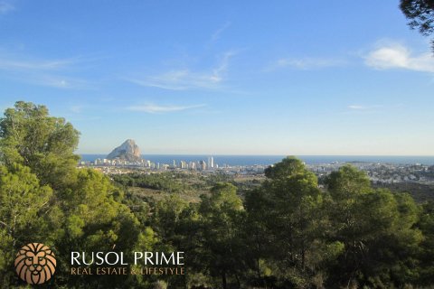 Zemes gabals pārdošanā Benissa, Alicante, Spānijā 33500 m2 Nr. 39403 - attēls 1