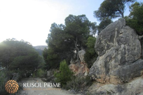Zemes gabals pārdošanā Benissa, Alicante, Spānijā 33500 m2 Nr. 39403 - attēls 2