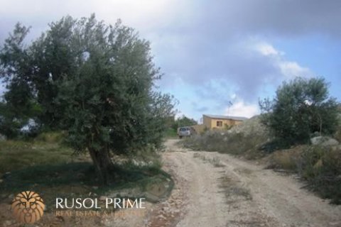 Zemes gabals pārdošanā Benissa, Alicante, Spānijā 18000 m2 Nr. 39395 - attēls 7