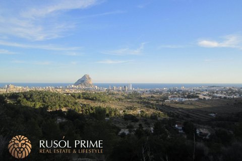 Zemes gabals pārdošanā Benissa, Alicante, Spānijā 33500 m2 Nr. 39403 - attēls 5