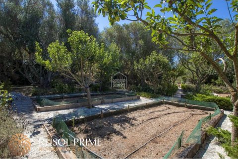 Villa pārdošanā El Migjorn Gran, Menorca, Spānijā 7 istabas, 604 m2 Nr. 39168 - attēls 18