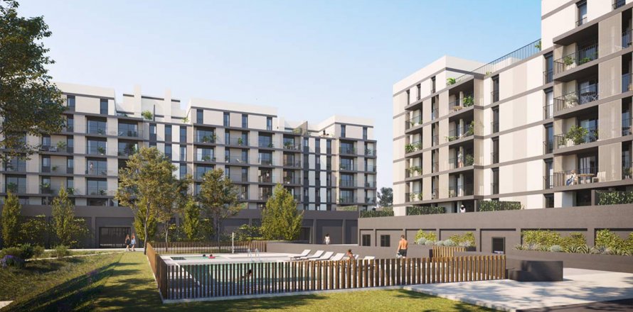 Asium Lleida, Spānijā Nr. 40045