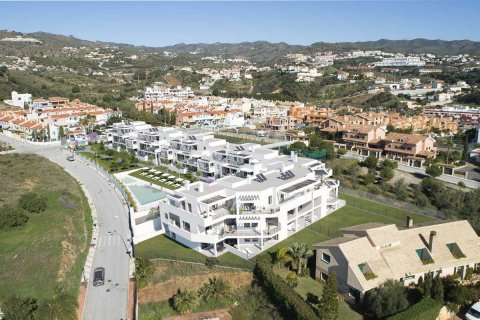 Azaleas del Rincon Malaga, Spānijā Nr. 38194 - attēls 2