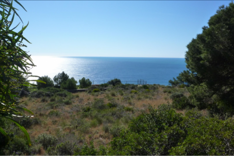 Zemes gabals pārdošanā Javea, Alicante, Spānijā Nr. 44048 - attēls 6