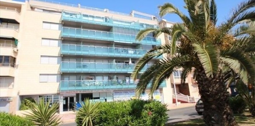 Dzīvoklis Torrevieja, Alicante, Spānijā 3 istabas, 90 m2 Nr. 45995