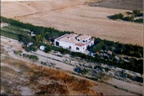 Finca pārdošanā Sineu, Mallorca, Spānijā 3 istabas, 175 m2 Nr. 47603 - attēls 14