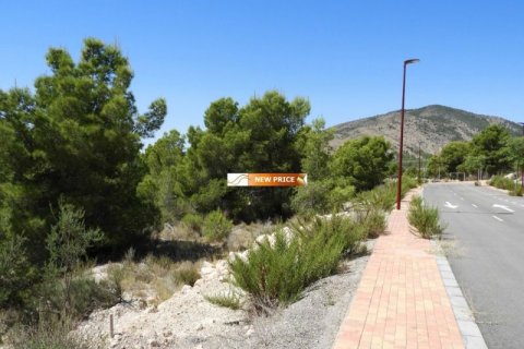 Zemes gabals pārdošanā Finestrat, Alicante, Spānijā Nr. 45079 - attēls 3