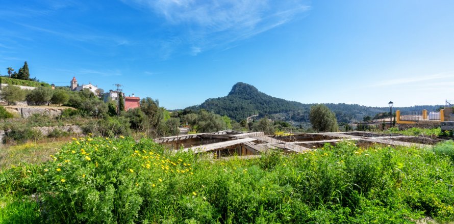 Zemes gabals Galilea, Mallorca, Spānijā 2165 m2 Nr. 46775