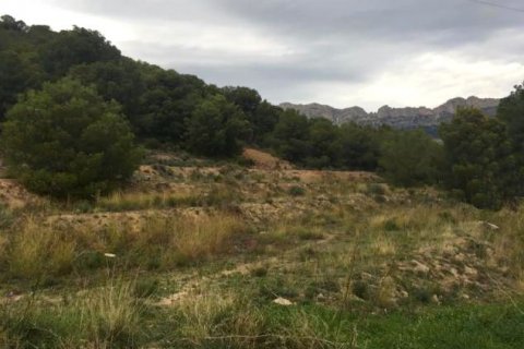 Zemes gabals pārdošanā Altea, Alicante, Spānijā Nr. 42556 - attēls 6