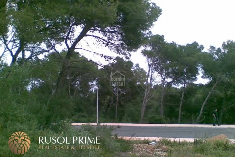 Zemes gabals pārdošanā Es Mercadal, Menorca, Spānijā Nr. 47063 - attēls 3