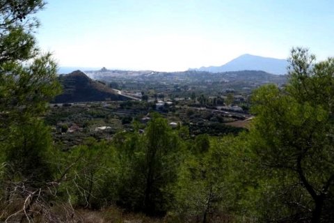 Zemes gabals pārdošanā Altea, Alicante, Spānijā Nr. 42556 - attēls 3