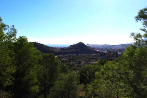 Zemes gabals pārdošanā Altea, Alicante, Spānijā Nr. 42556 - attēls 2