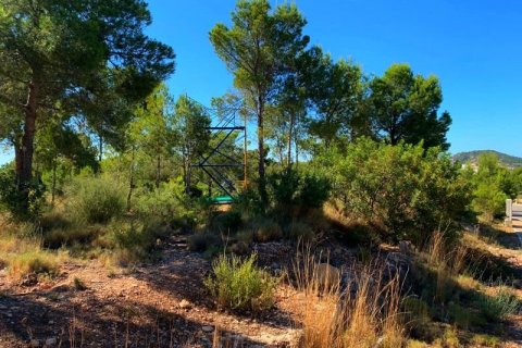Zemes gabals pārdošanā Finestrat, Alicante, Spānijā Nr. 42641 - attēls 3