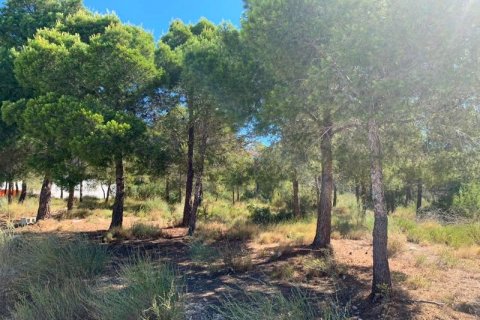 Zemes gabals pārdošanā Finestrat, Alicante, Spānijā Nr. 42631 - attēls 5