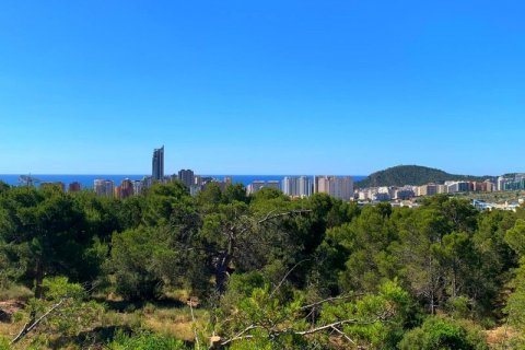 Zemes gabals pārdošanā Finestrat, Alicante, Spānijā Nr. 42632 - attēls 1
