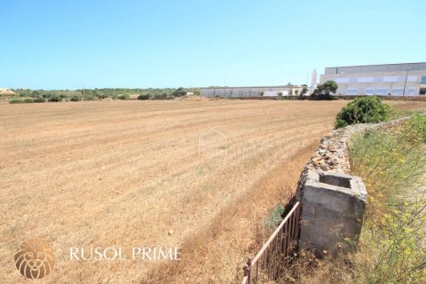 Zemes gabals pārdošanā Ciutadella De Menorca, Menorca, Spānijā 29583 m2 Nr. 46970 - attēls 7