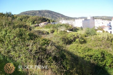 Zemes gabals pārdošanā Ferreries, Menorca, Spānijā Nr. 46963 - attēls 3
