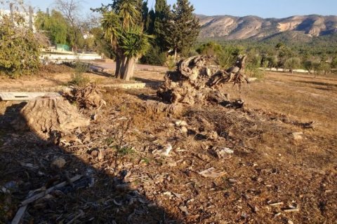 Zemes gabals pārdošanā Benidorm, Alicante, Spānijā 7 istabas, 711 m2 Nr. 44064 - attēls 4