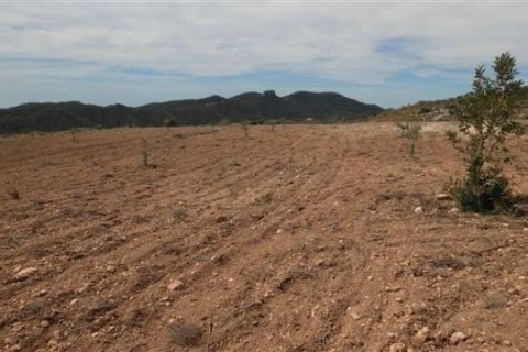 Zemes gabals pārdošanā Villajoyosa, Alicante, Spānijā Nr. 42607 - attēls 5