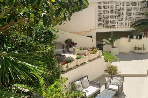 Hotelis pārdošanā Benidorm, Alicante, Spānijā 33 istabas, 2.7 m2 Nr. 42841 - attēls 3