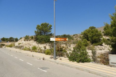 Zemes gabals pārdošanā Finestrat, Alicante, Spānijā Nr. 45091 - attēls 2