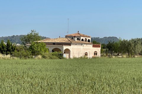 Finca pārdošanā Sineu, Mallorca, Spānijā 3 istabas, 175 m2 Nr. 47603 - attēls 1