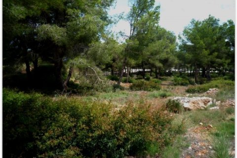 Zemes gabals pārdošanā Javea, Alicante, Spānijā Nr. 43532 - attēls 3