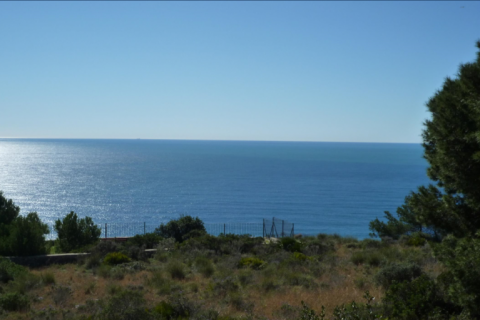 Zemes gabals pārdošanā Javea, Alicante, Spānijā Nr. 44048 - attēls 5