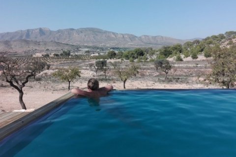 Villa pārdošanā Alicante, Spānijā 3 istabas, 480 m2 Nr. 45696 - attēls 8