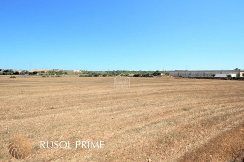 Zemes gabals pārdošanā Ciutadella De Menorca, Menorca, Spānijā 29583 m2 Nr. 46970 - attēls 6