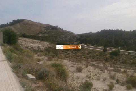 Zemes gabals pārdošanā Finestrat, Alicante, Spānijā Nr. 45080 - attēls 5
