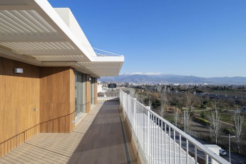 Taracea Granada, Spānijā Nr. 41236 - attēls 8