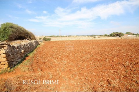 Zemes gabals pārdošanā Ciutadella De Menorca, Menorca, Spānijā 32791 m2 Nr. 46881 - attēls 11