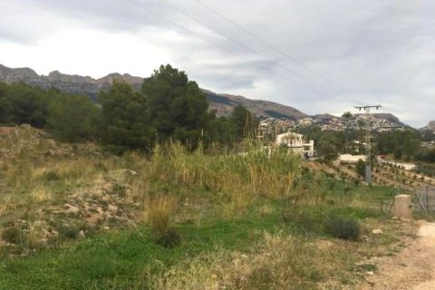 Zemes gabals pārdošanā Altea, Alicante, Spānijā Nr. 42556 - attēls 7