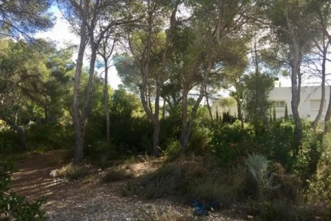 Zemes gabals pārdošanā Benissa, Alicante, Spānijā Nr. 44039 - attēls 7