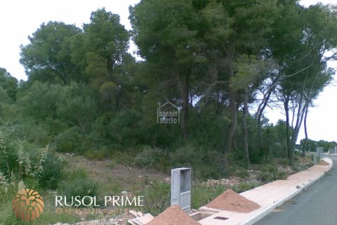 Zemes gabals pārdošanā Es Mercadal, Menorca, Spānijā Nr. 47063 - attēls 2