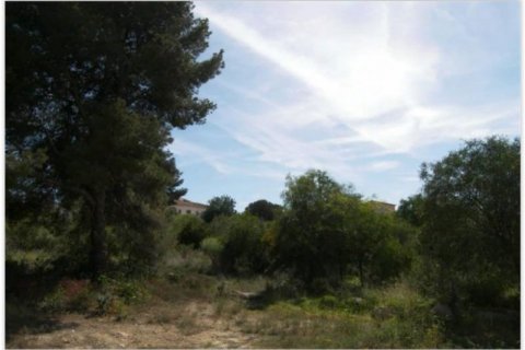 Zemes gabals pārdošanā Calpe, Alicante, Spānijā Nr. 45090 - attēls 3