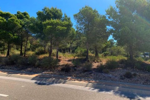 Zemes gabals pārdošanā Finestrat, Alicante, Spānijā Nr. 42631 - attēls 6