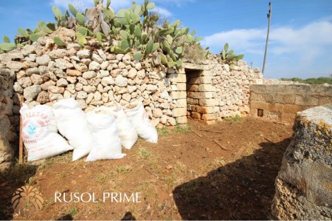 Zemes gabals pārdošanā Ciutadella De Menorca, Menorca, Spānijā 32791 m2 Nr. 46881 - attēls 6