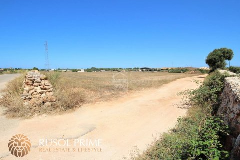 Zemes gabals pārdošanā Ciutadella De Menorca, Menorca, Spānijā 29583 m2 Nr. 46970 - attēls 8