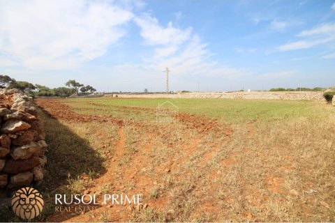 Zemes gabals pārdošanā Ciutadella De Menorca, Menorca, Spānijā 32791 m2 Nr. 46881 - attēls 12