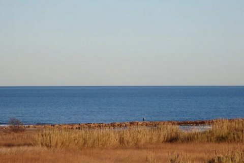 Hotelis pārdošanā Valencia, Spānijā 136 istabas, 6495 m2 Nr. 44779 - attēls 7