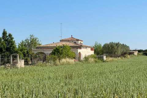 Finca pārdošanā Sineu, Mallorca, Spānijā 3 istabas, 175 m2 Nr. 47603 - attēls 12