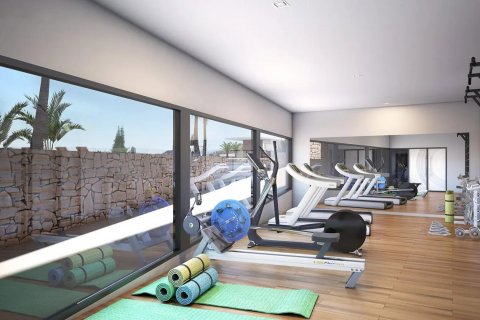 Citrea Malaga, Spānijā Nr. 48012 - attēls 7